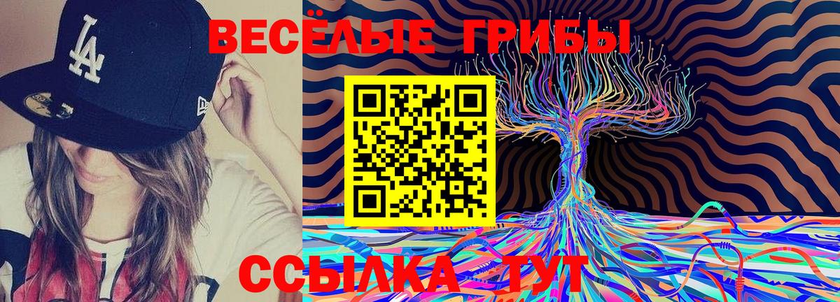 Псилоцибиновые грибы Cubensis  Вход с VPN  Касимов 